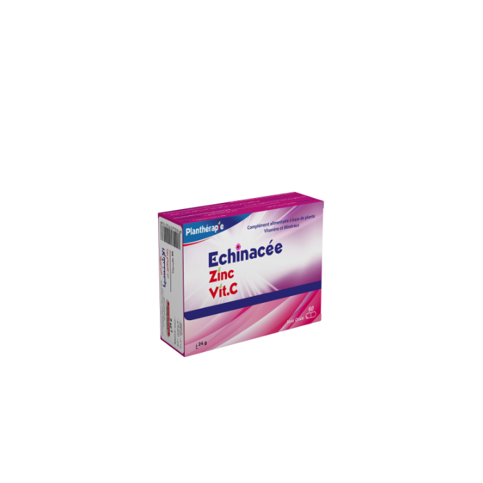 Echinacé