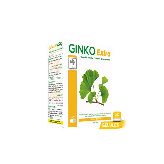 LV GINKO Extra 60ml