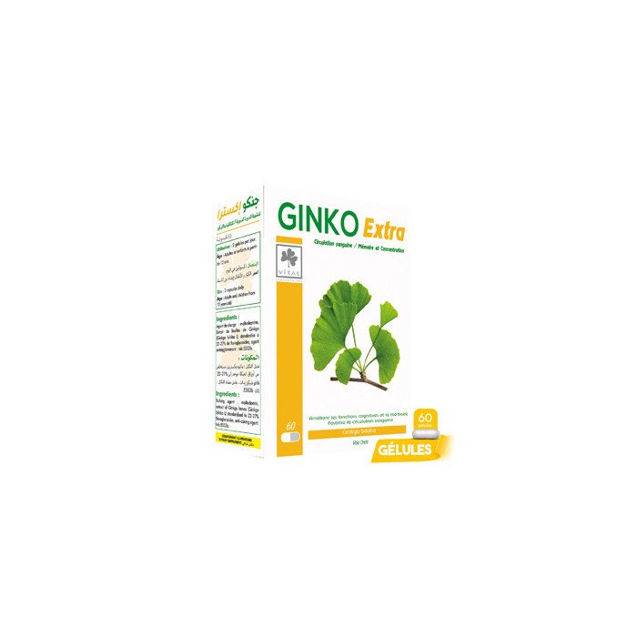 LV GINKO Extra 60ml