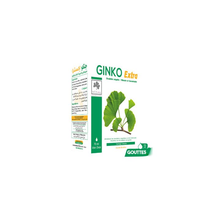 LV GINKO Extra 70ml